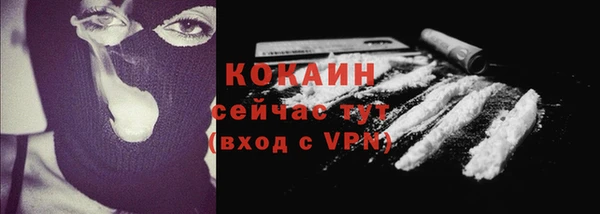 ALPHA PVP Горняк