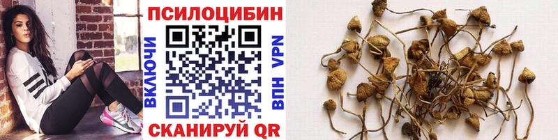 Купить где  Няндома  Галлюциногенные грибы мицелий 