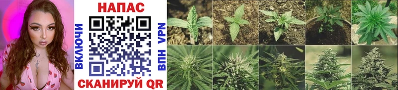 МАРИХУАНА Ganja  Купить  Няндома 